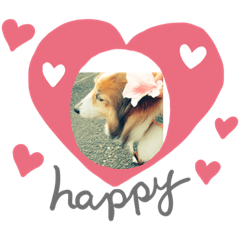 [LINEスタンプ] 愛犬チェリーちゃんとの日々