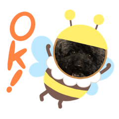 [LINEスタンプ] まめとれっちゃんっ