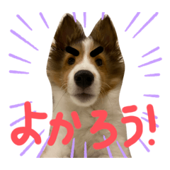[LINEスタンプ] すてきち いち