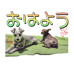 [LINEスタンプ] 小平さんちの子ども達