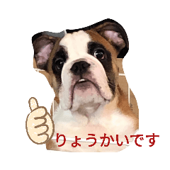 [LINEスタンプ] ブルヘイです！