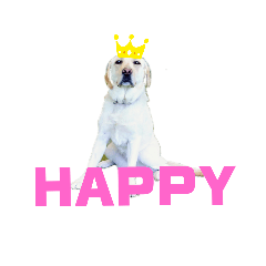 [LINEスタンプ] ラブラドールレトリバーHAPPY