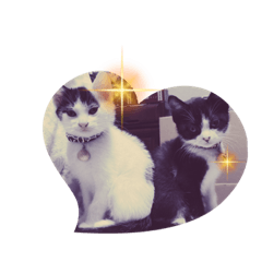[LINEスタンプ] ニゴ＆ハチゴ②