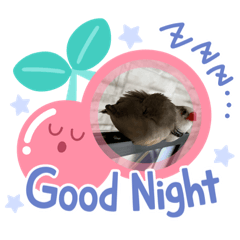 [LINEスタンプ] きんぎんの日常