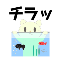 [LINEスタンプ] そらとおもちのスタンプ（ベーシック）2