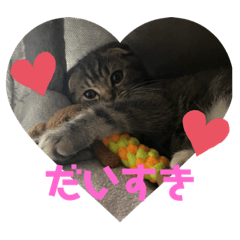 [LINEスタンプ] ぽこぽこねこすたんぷ2