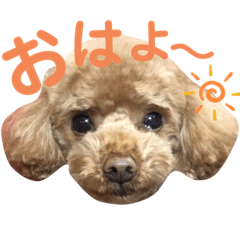 [LINEスタンプ] リロのきもち.