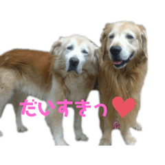 [LINEスタンプ] あすかとれお