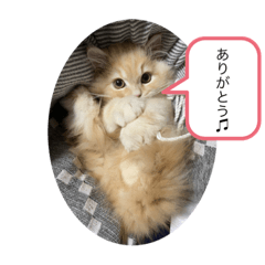 [LINEスタンプ] もなかスタンプ 第2弾♪