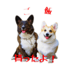[LINEスタンプ] ロン＆トトのスタンプ！！