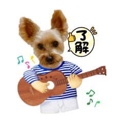 [LINEスタンプ] ヨーキー♡じじ