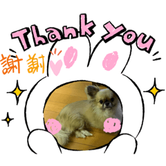 [LINEスタンプ] この前作った陸の彼女さんです