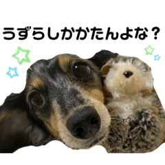 [LINEスタンプ] うずらしかかたんよな？な？