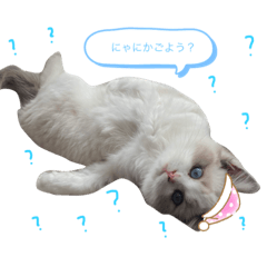 [LINEスタンプ] ♡フワフワなオモチ♡