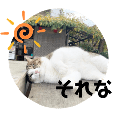 [LINEスタンプ] 虹だんごのジジとキキ♡追加分