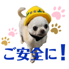 [LINEスタンプ] チワワ工務店勤めです
