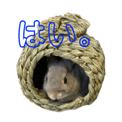 [LINEスタンプ] ハルくんすたんぷ！