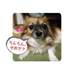 [LINEスタンプ] らいらいのツブヤキ