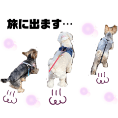 [LINEスタンプ] ワンダフル♡わんこ
