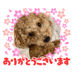 [LINEスタンプ] ノアの母