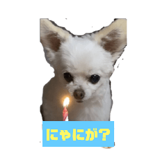 [LINEスタンプ] ららっこ 2