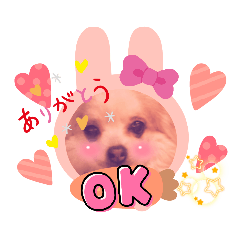 [LINEスタンプ] caruaちゃん     ＆siyocoraちゃん