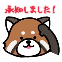 [LINEスタンプ] レッサーパンダ【わかりやすい文字／日常】