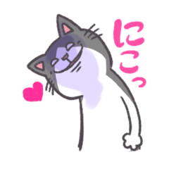 [LINEスタンプ] かわいいハチワレネコチャン