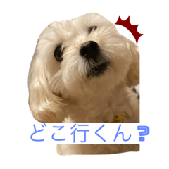 [LINEスタンプ] ベルくんの気持ち