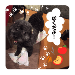 [LINEスタンプ] らっきいくん