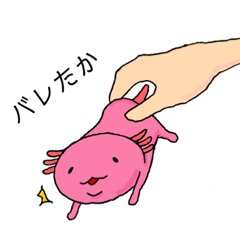 [LINEスタンプ] ウーパールーパー その3