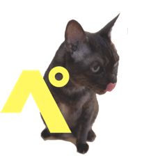 [LINEスタンプ] 黒猫のくーちゃんとはなちゃんシリーズ4