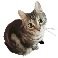 [LINEスタンプ] アメショのルンちゃんの日常