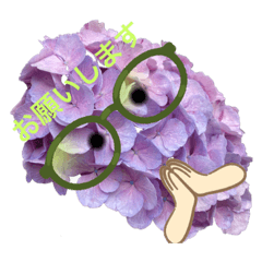 [LINEスタンプ] あじさいさんで敬語のごあいさつ