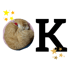 [LINEスタンプ] 我が家の猫ちゃんs2