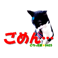 [LINEスタンプ] ちっぷ家★0405③