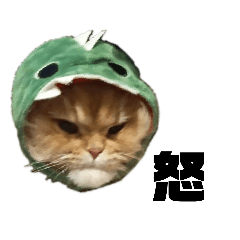 [LINEスタンプ] ねこ（ペルシャ）