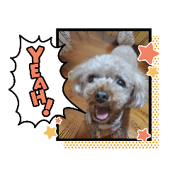 [LINEスタンプ] チコぷー
