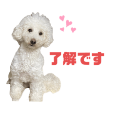 [LINEスタンプ] チップとチョパスタンプ