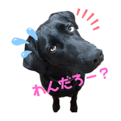 [LINEスタンプ] ろびえ2