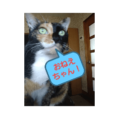 [LINEスタンプ] デビルミミシャン
