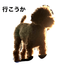 [LINEスタンプ] ロキくん(忠犬)