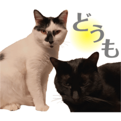 [LINEスタンプ] おこげとふじ②
