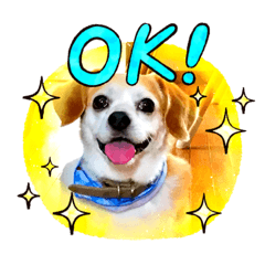 [LINEスタンプ] LUCKYだワン！