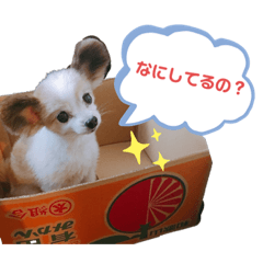 [LINEスタンプ] 武田家のまろん