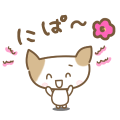 [LINEスタンプ] ねこのみーちゃん-よく使う言葉（丁寧）