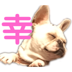 [LINEスタンプ] それゆけ！アイちゃん2
