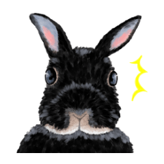 [LINEスタンプ] 家族で使いやすいうさぎさんスタンプ