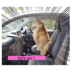 [LINEスタンプ] ダンシンスタンプ