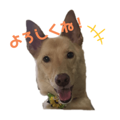 [LINEスタンプ] My Ricky 1